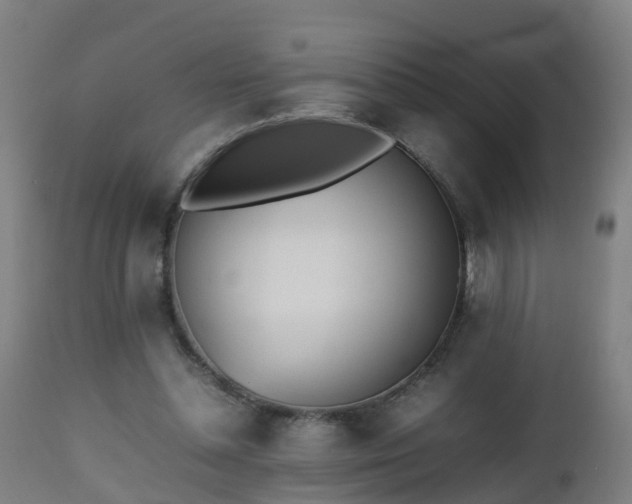 X0000112490348200908241331