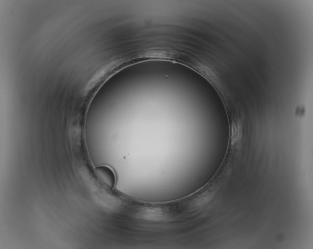 X0000112490349200908241331