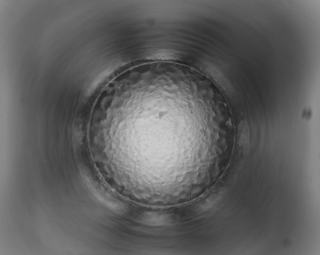 X0000112490351200908241331