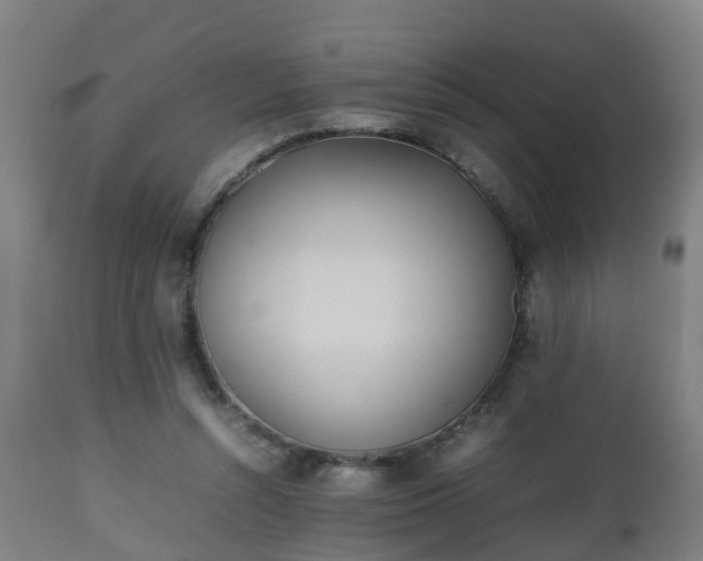 X0000112490352200908241331