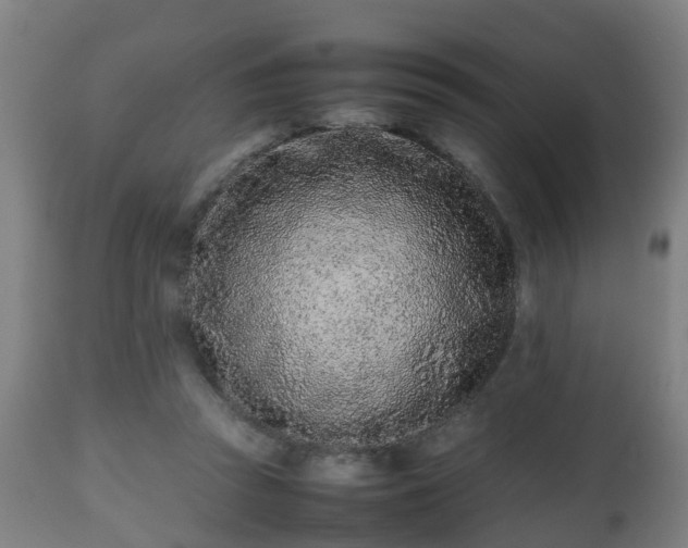 X0000112490353200908241331