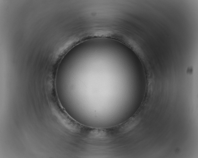 X0000112490354200908241331