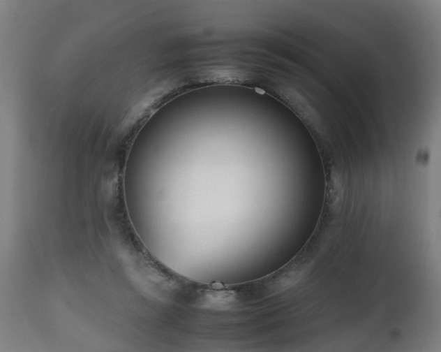 X0000112490355200908241331