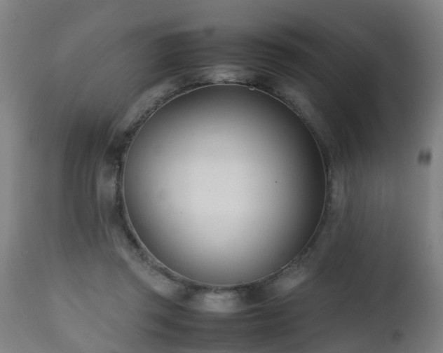 X0000112490357200908241331