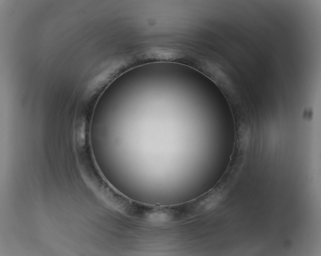 X0000112490358200908241331