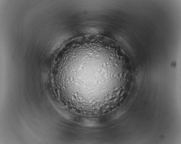 X0000112490359200908241331