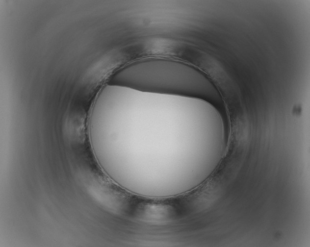 X0000112490360200908241331