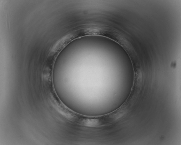 X0000112490361200908241331