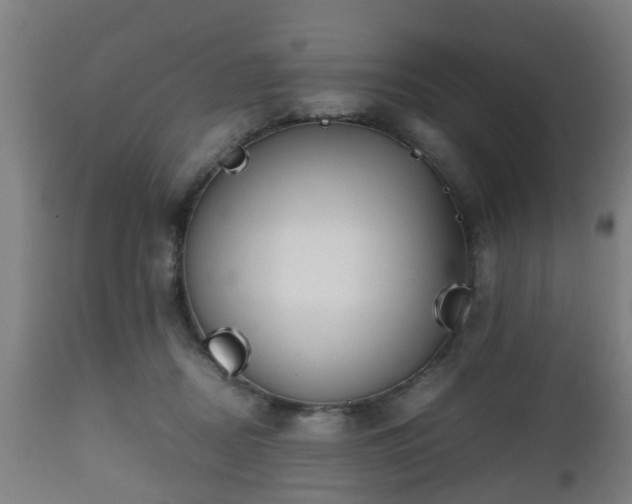 X0000112490362200908241331