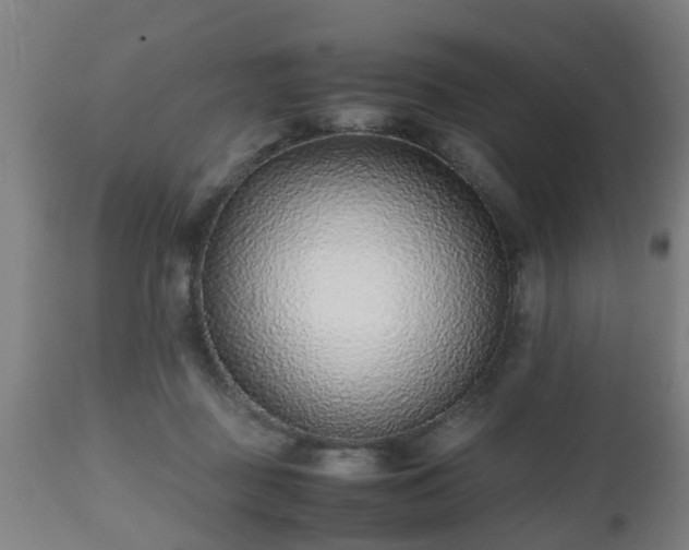 X0000112490363200908241331