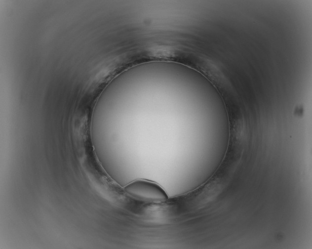 X0000112490364200908241331