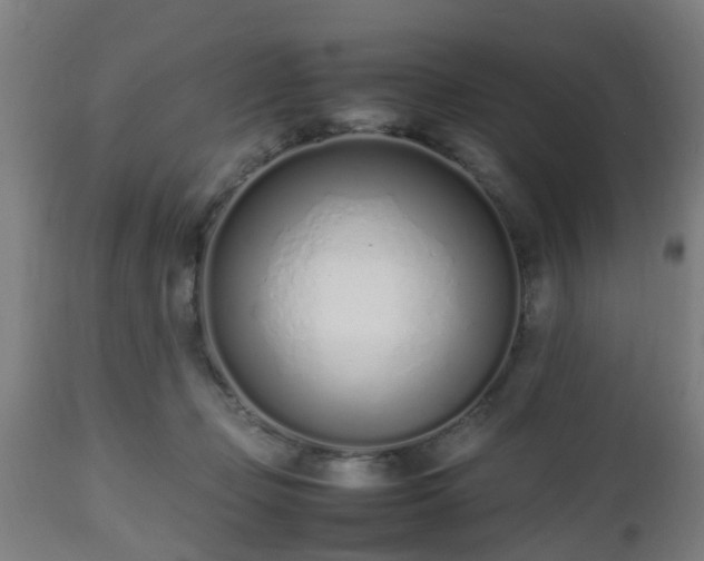 X0000112490365200908241331