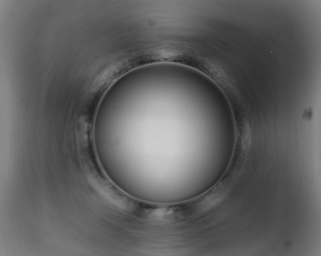 X0000112490366200908241332