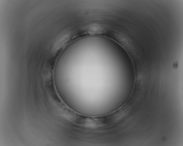 X0000112490367200908241332