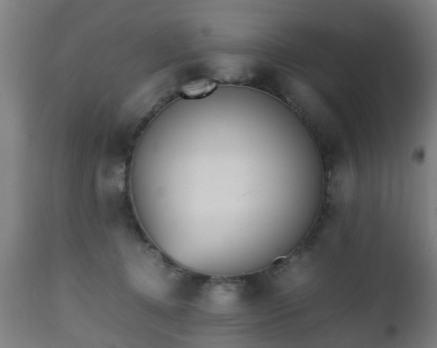 X0000112490368200908241332