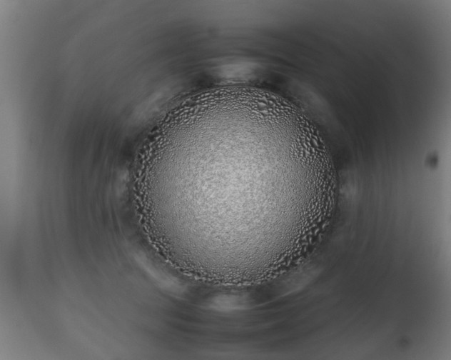 X0000112490369200908241332