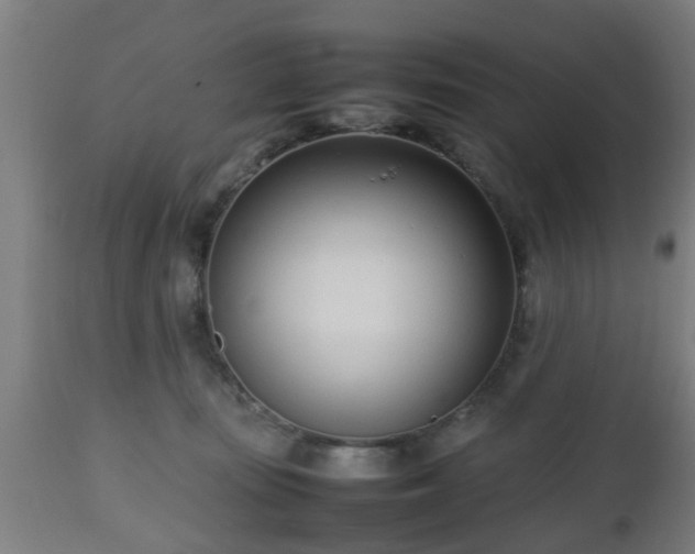 X0000112490371200908241332