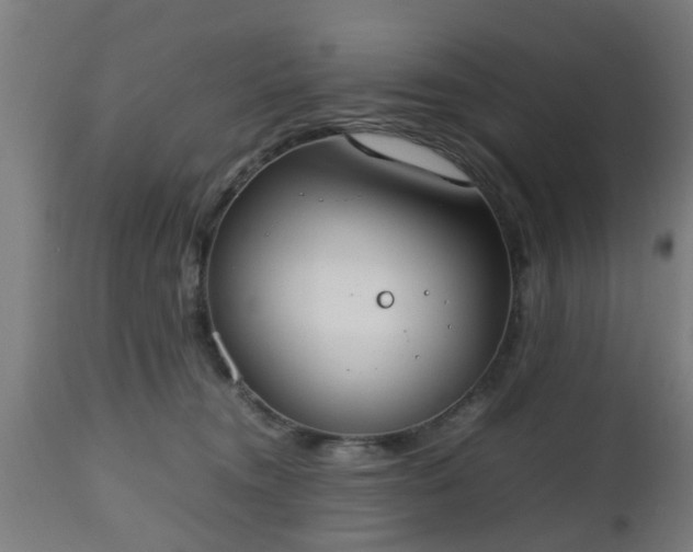 X0000112490372200908241332