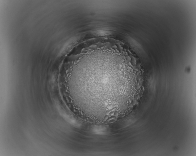 X0000112490373200908241332