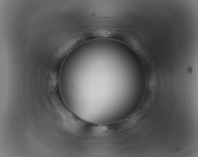 X0000112490374200908241332