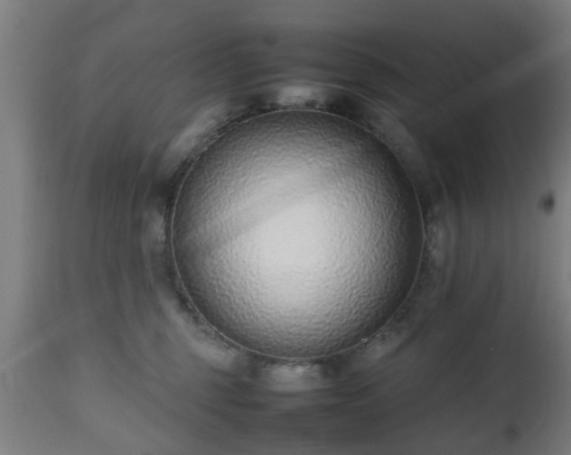 X0000112490375200908241332