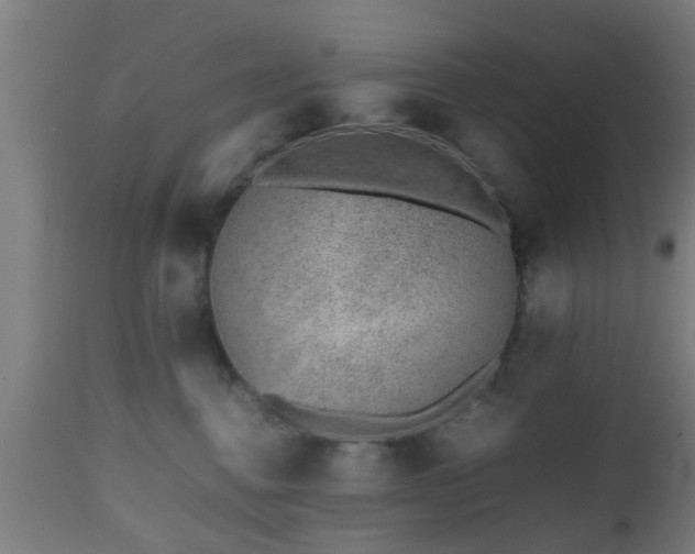 X0000112490376200908241332