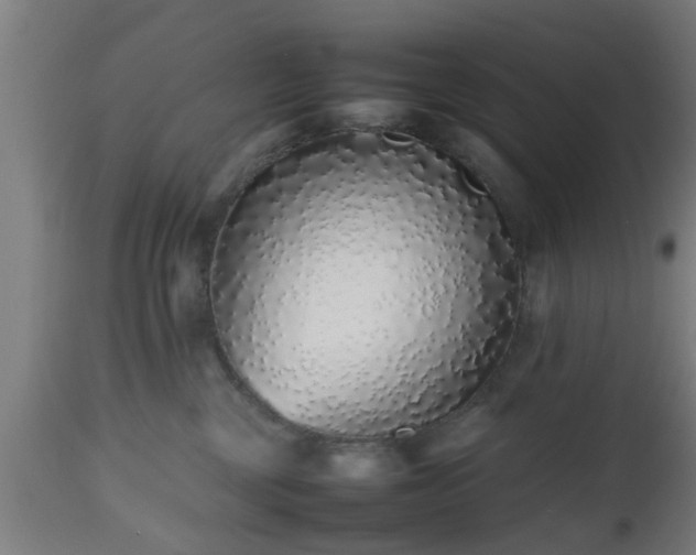 X0000112490377200908241332