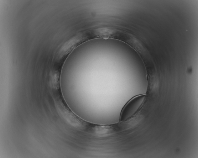 X0000112490378200908241332