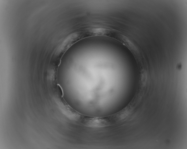 X0000112490379200908241332