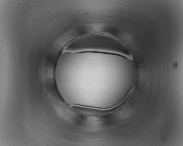 X0000112490380200908241332