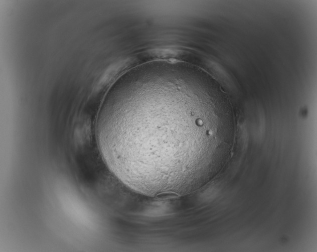 X0000112490381200908241332