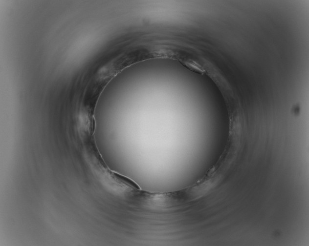 X0000112490382200908241332