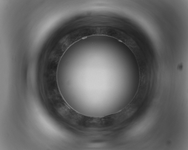 X0000112490383200908241332