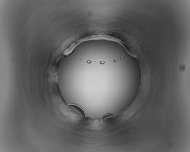 X0000112490384200908241332