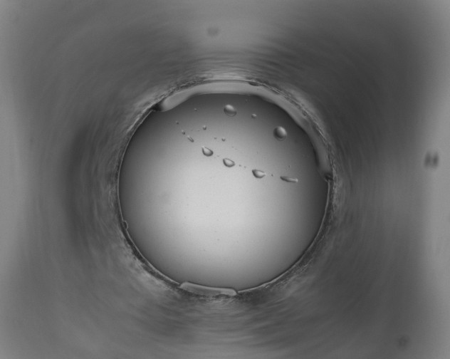 X0000112490385200908241331