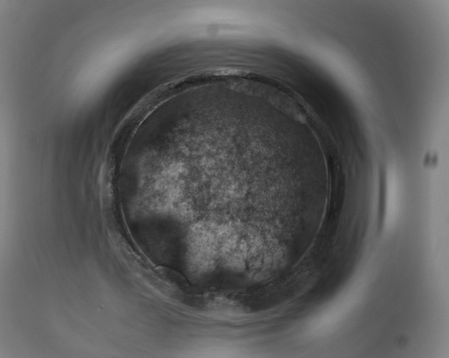 X0000112490387200908241331