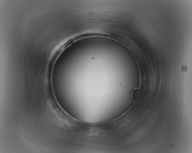 X0000112490388200908241331