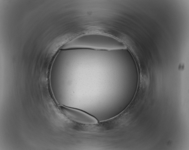 X0000112490389200908241331