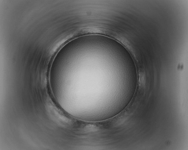 X0000112490390200908241331