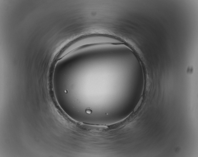 X0000112490391200908241331