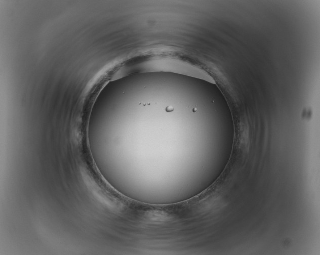 X0000112490392200908241331