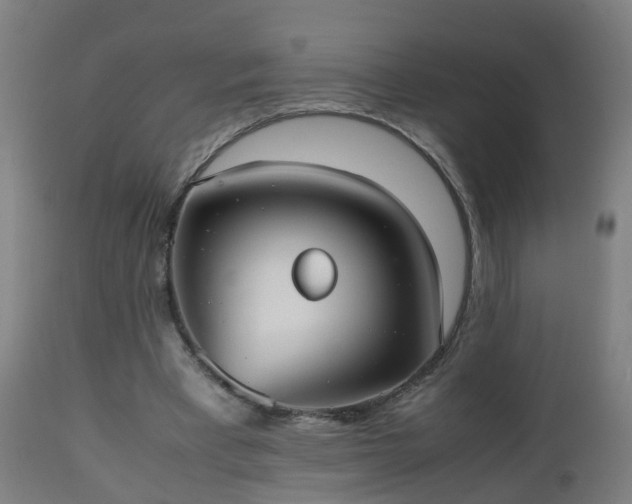 X0000112490393200908241331