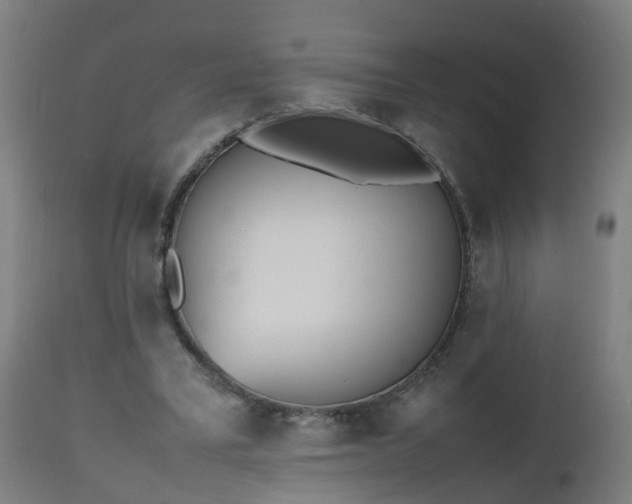 X0000112490395200908241331