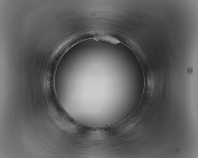 X0000112490396200908241331