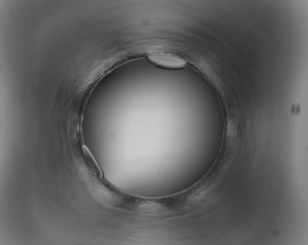 X0000112490397200908241331