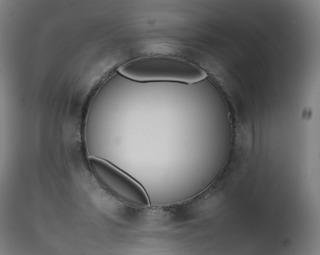 X0000112490399200908241331