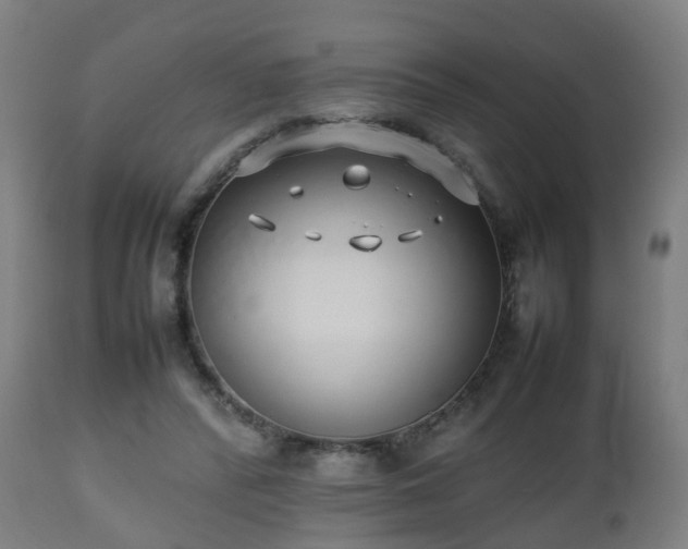 X0000112490400200908241331