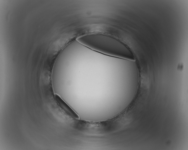 X0000112490401200908241331