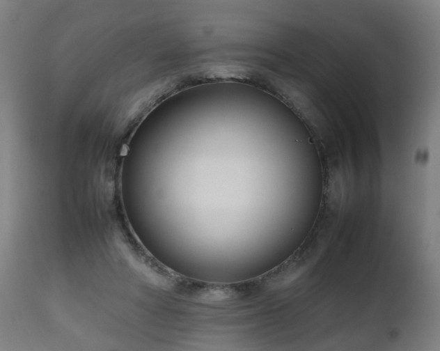 X0000112490402200908241331