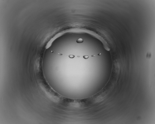 X0000112490404200908241331